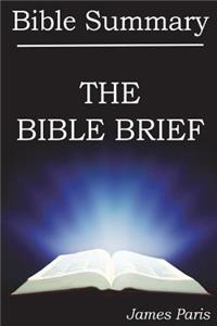 Bible Summary - The Bible Brief