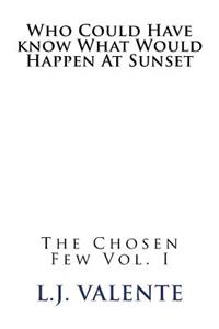 Who Could Have know What Would Happen At Sunset