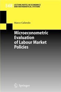 Microeconometric Evaluation of Labour Market Policies