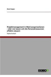 Projektmanagement in Matrixorganisationen. Wie lassen sich die Personalressourcen effektiv steuern?