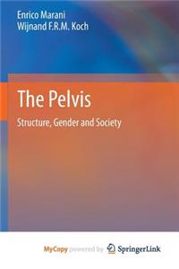The Pelvis