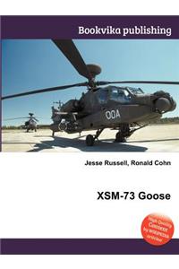 Xsm-73 Goose
