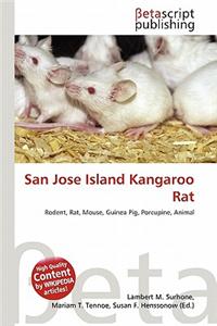 San Jose Island Kangaroo Rat