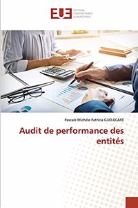 Audit de performance des entités