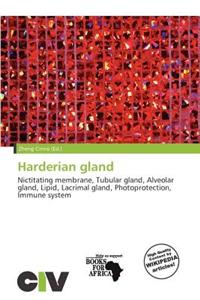 Harderian Gland