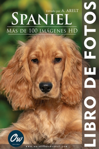 Spaniel: Libro de fotos - Más de 100 imágenes HD