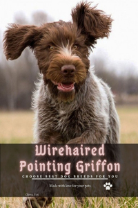 Wirehaired Pointing Griffon