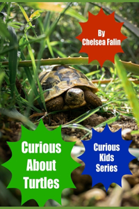 Curious About Turtles