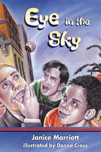 Eye in the Sky