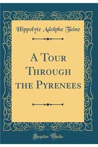 A Tour Through the Pyrenees (Classic Reprint)