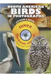 North American Birds in Photographs