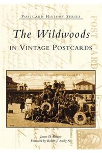 Wildwoods in Vintage Postcards