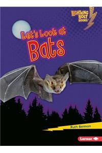 Let's Look at Bats