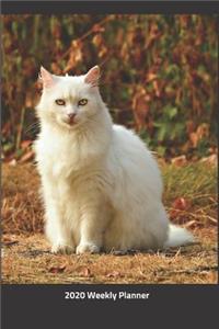 Plan On It 2020 Weekly Calendar Planner - I Love Cats - White Cat