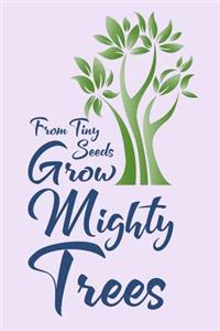 From Tiny Seeds Grow Mighty Trees