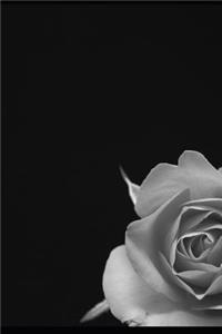 Always Believe in Yourself Even in the Darkest Moments