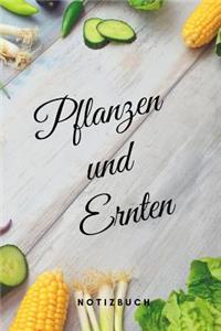 Pflanzen und Ernten