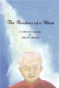 Briefness of a Blink