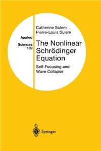 Nonlinear Schrödinger Equation