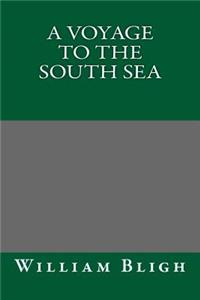 A Voyage to the South Sea