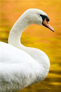 Mind Blowing Cool Swan Journal