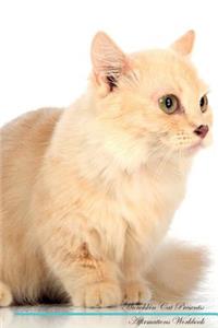 Munchkin Cat Affirmations Workbook Munchkin Cat Presents