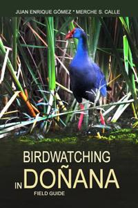 Birdwatching in Donana