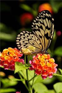 Lovely Tree Nymph Butterfly and Flowers Nature Journal