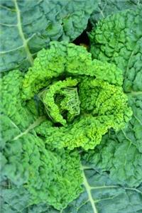Bright Green Savoy Cabbage Garden Journal