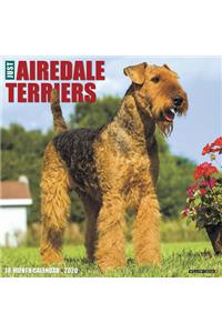 AIREDALE TERRIERS 2020 WALL CALENDAR