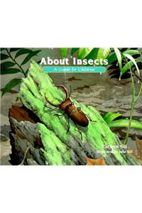 About Insects