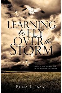 Learning to Fly Over the Storm