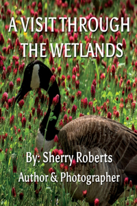 Visit Through the Wetlands