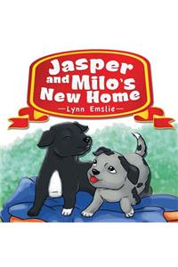 Jasper and Milo's New Home