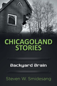 Chicagoland Stories