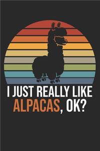I Just Really Like Alpacas, OK?