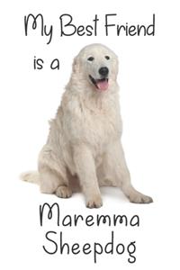 My best Friend is a Maremma Sheepdog