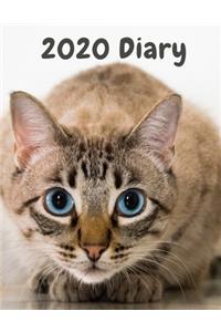 2020 Diary