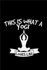 This is what a yogi looks like