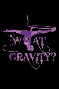 What Gravity