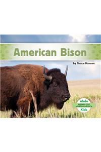 American Bison