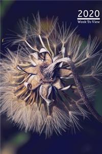 A5 2020 Diary Week To View Paperback Cover With Alternative Design -