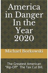 America in Danger In the Year 2020