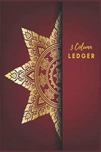 3 Column Ledger