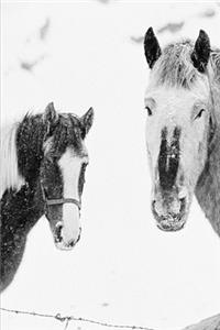 2020 Weekly Planner Winter Theme Horses In Snow 134 Pages