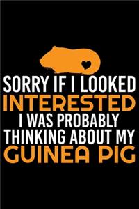 Sorry If I Looked Interested I Was Probably Thinking About My Guinea Pig