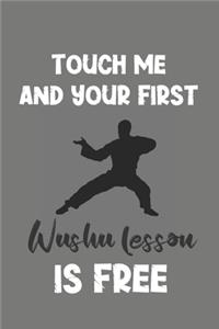 Touch Me and Your First Wushu Lesson Is Free