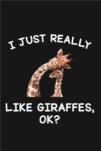 I Just Really Like Giraffes Ok