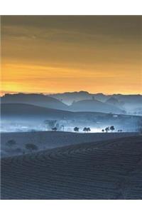 Tea Plantation Vietnam Vietnamese Morning Haze Agriculture Sunrise Asia Asian
