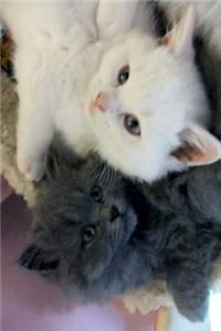 Cat Journal Note Book